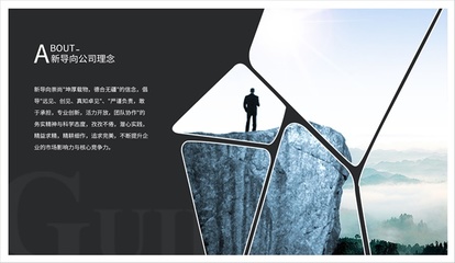 上海新導(dǎo)向品牌策劃 精準(zhǔn)定位，驅(qū)動(dòng)國內(nèi)貿(mào)易代理業(yè)務(wù)新增長